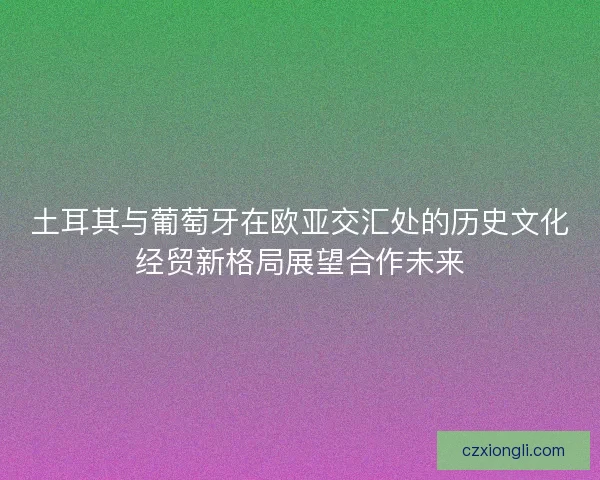 土耳其与葡萄牙在欧亚交汇处的历史文化经贸新格局展望合作未来